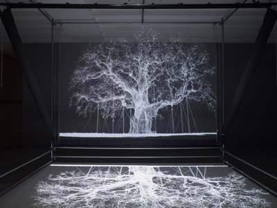 Albion, 2017 (Projektor, medieafspiller, stillads, transparent film, træ, maling, spejl, tilbehør til udspænding) af Mat Collishaw