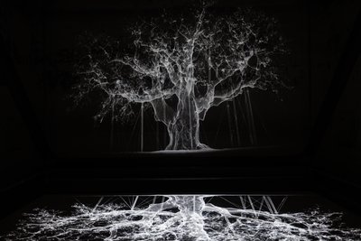 Albion, 2017 (Projektor, medieafspiller, stillads, transparent film, træ, maling, spejl, tilbehør til udspænding) af Mat Collishaw