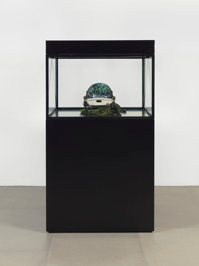 Alpha Omega, 2016 (Glas, LCD-skærm, medieafspiller, replika-kranie, rumhjelm, træ) af Mat Collishaw