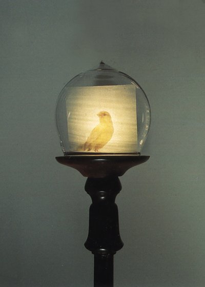 Antik af Mat Collishaw