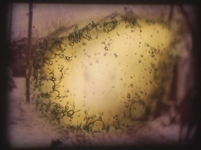 Barbarossa, 2002 (videoprojektor og simuleret diasprojektor) af Mat Collishaw