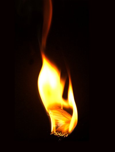 Brændende sommerfugl 16, 2013 (Lambda print) af Mat Collishaw
