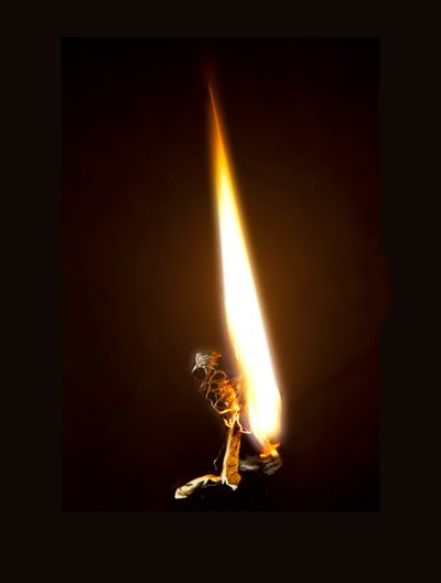 Brændende sommerfugl 8, 2013 (Lambda print) af Mat Collishaw