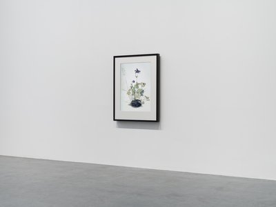 Columbine, 2018 (Træramme, kant, LCD-skærm, ventilator og medieafspiller) af Mat Collishaw