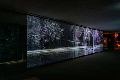 Echolocation, 2021 (3-kanals videoprojektion på polypropylen-net) af Mat Collishaw