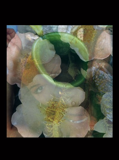 Flesheaters 2 af Mat Collishaw
