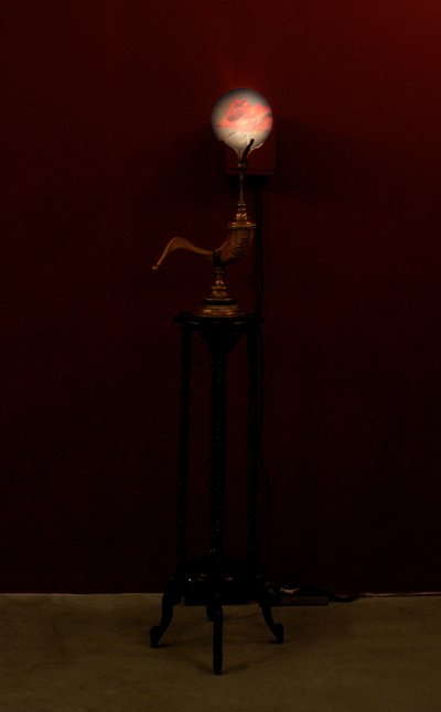 Horn Blower, 2002 (Glas, vand, messing, vædderhorn, træ, videoprojektor og afspiller) af Mat Collishaw