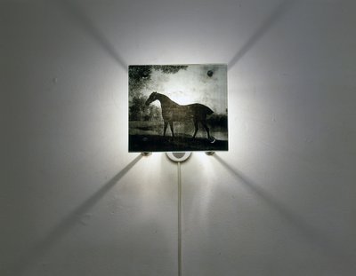 Stubbs heste af Mat Collishaw
