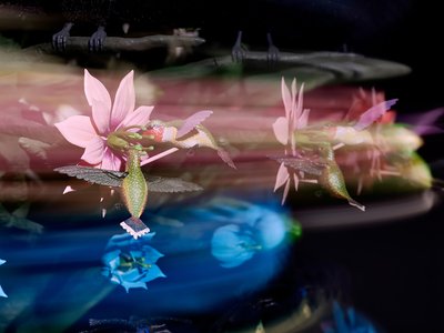 The Centrifugal Soul, 2016 (Akryl, aluminium, stål, LED-lys, motor, elektroniske kredsløb, harpiks og maling) af Mat Collishaw
