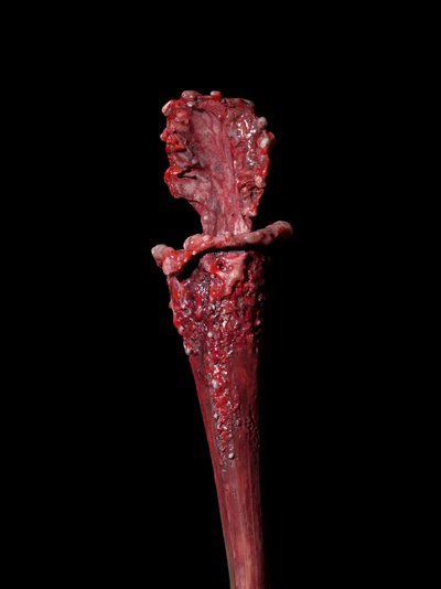 The Venal Muse, Fenside, 2012 (Harpiks, emaljemaling, træ, glas, stål) af Mat Collishaw