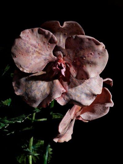 Venal Muse, Impetus, 2012 (Harpiks, emaljemaling, træ, glas, stål) af Mat Collishaw