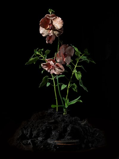 Venal Muse, Impetus, 2012 (Harpiks, emaljemaling, træ, glas, stål) af Mat Collishaw