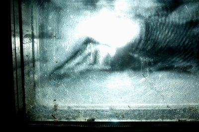 Wormery, 2009 (Træ, glas, stål, projektor og afspiller) af Mat Collishaw