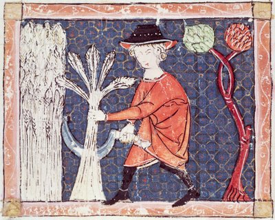 Fol.58v juli: Høsten af Matfre Ermengaut