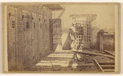 [Bure, hvor slaver blev holdt] af Mathew B. Brady