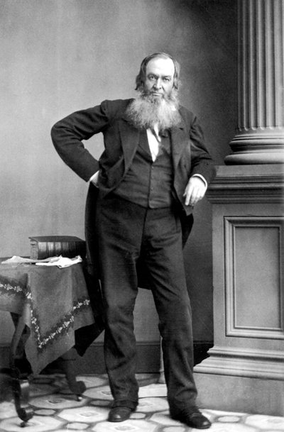 Gerrit Smith: Amerikansk politiker, New York af Mathew B. Brady