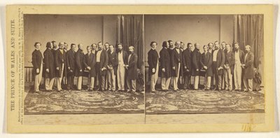 Prinsen af Wales og hans følge af Mathew B. Brady