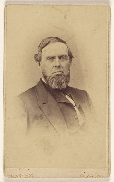 [Uidentificeret skægget mand, trykt i vignetstil] af Mathew B. Brady