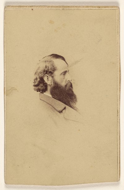 [Uidentificeret mand med langt skæg i profil]. af Mathew B. Brady