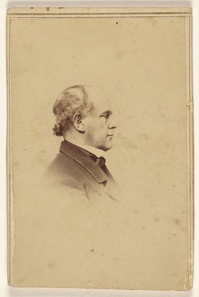 [Uidentificeret mand i profil, trykt i vignetstil] af Mathew B. Brady