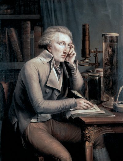 Portræt af Georges Leopold Cuvier af Mathieu Ignace van Bree