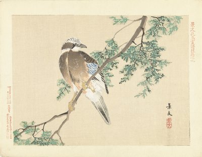 Jay på en gren af Matsumura Keibun