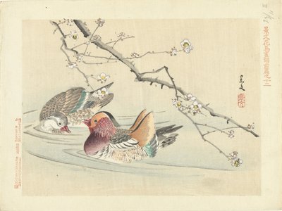 to ænder Blomster- og fugleskitser fra Keibun - del 1 (serietitel) Keibun kacho gafu zen pen (serietitel på objekt) af Matsumura Keibun