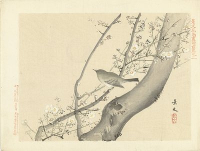 Fugl i træ med hvid blomst Blomster- og fugleskitser fra Keibun - del 1 (serietitel) Keibun kacho gafu zen pen (serietitel på objekt) af Matsumura Keibun