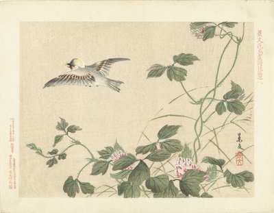 Fugl flyver væk ved slyngplante med lyserøde blomster Flower and Bird Skitser af Keibun - del tre (serietitel) Keibun kacho gafu kohen (serietitel på objekt) af Matsumura Keibun