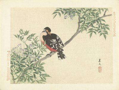 Sort-rød fugl Blomster- og fugleskitser fra Keibun - del 1 (serietitel) Keibun kacho gafu zen pen (serietitel på objekt) af Matsumura Keibun