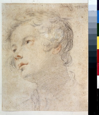 Hovedet af en dreng. Maleri af Matteo Rosselli (1578-1650). Kridt og rødt kridt på papir af Matteo Rosselli