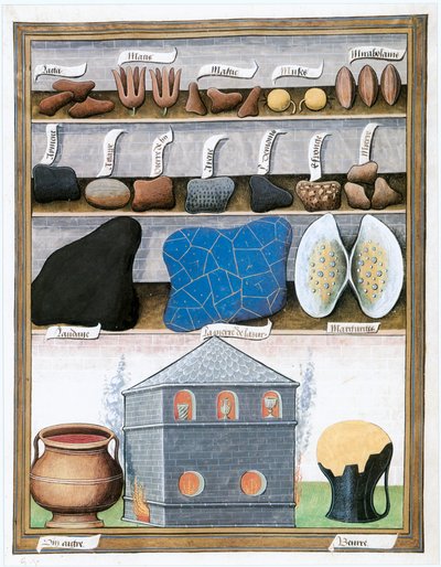 Le Livre des Simples Medecines, slutningen af 1400-tallet, begyndelsen af 1500-tallet (pergament) af Matthaeus Platearius