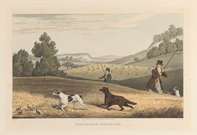 Agerhønsskydning af Matthew Dubourg