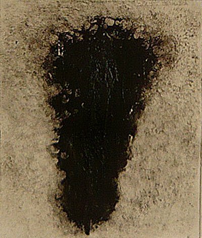 ossie, 2009 (helioprint) af Matthew Hilton