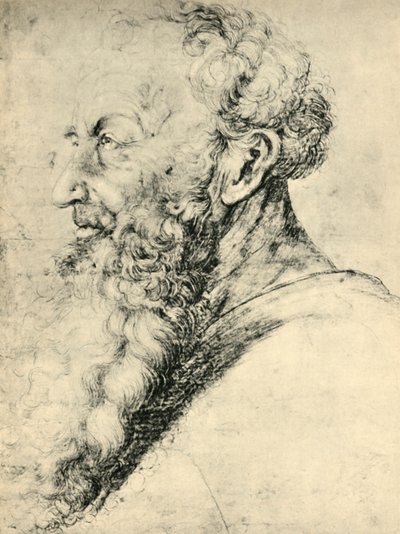 Portræt af Guido Guersi, 1513-1515, 1943. af Matthias Gruenewald