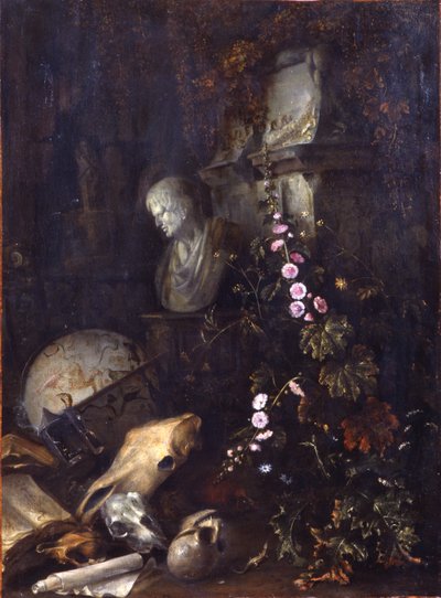 forfængelighed af Matthias Withoos