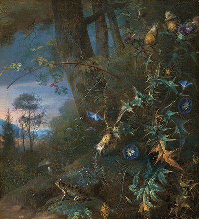 skovbundsstilleben med en frø og en svamp, bjerge udenfor af Matthias Withoos