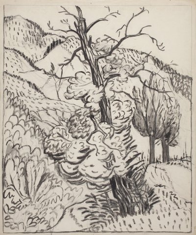 Tree on Mountainside, ca. 1930 (pensel, blæk og kul på råhvidt vævet papir) af Maud Hunt Squire