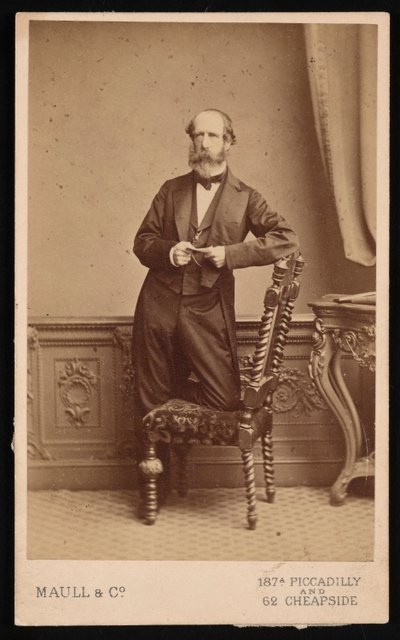 Portræt af Andrew Dickson Murray 1812-1878, før 1878. af Maull and Co