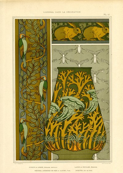 Art Nouveau-naturmotiver: Fugle, havliv og insekter (litografi) af Maurice Pillard Verneuil