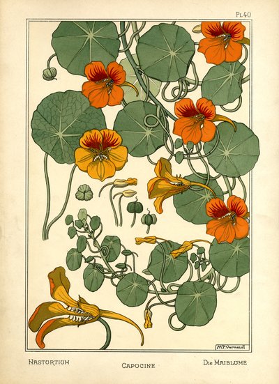 Nasturtium (farve litho) af Maurice Pillard Verneuil