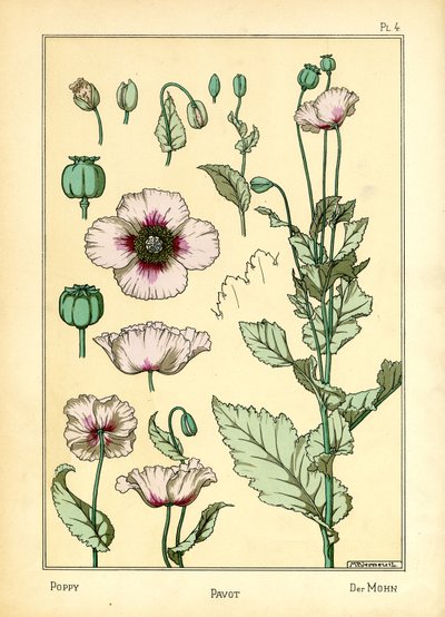 Valmuen (farve litho) af Maurice Pillard Verneuil