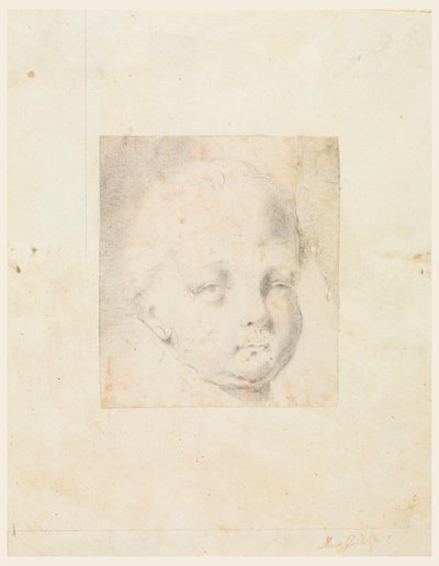 Tegning, studie: Hoved af en dreng, 1810-34 af Mauro Gandolfi
