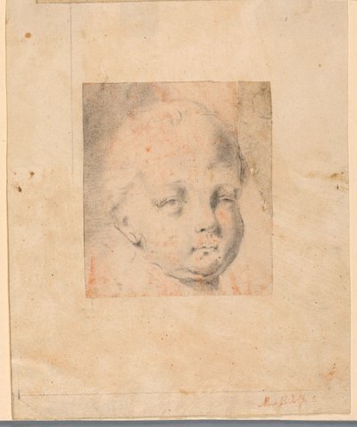 Tegning, studie: Hoved af en dreng, 1810-34 af Mauro Gandolfi