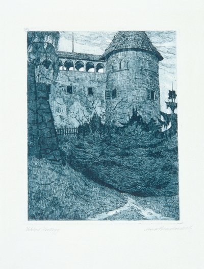 Schloss Hallegg af Max Bradaczek
