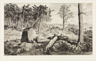 Simplicius i skovødemarken (Intermezzi, opus IV, blad 10) af Max Klinger