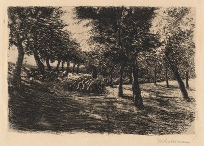 Flok får under træer af Max Liebermann