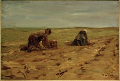 Kartoffelhøst i klitterne af Max Liebermann