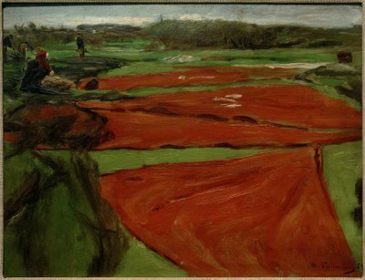 Eng med spredte net og sejl af Max Liebermann