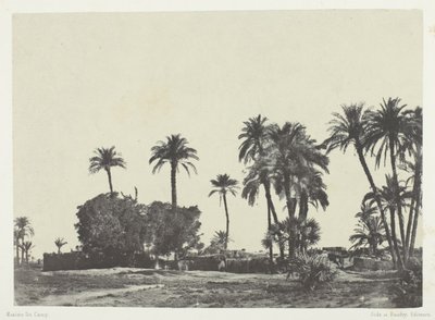 Landsbyen Hamameh, Øvre Egypten af Maxime Du Camp